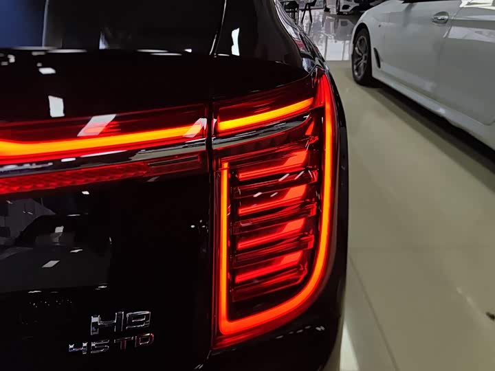 Фото 8 - Hongqi H9