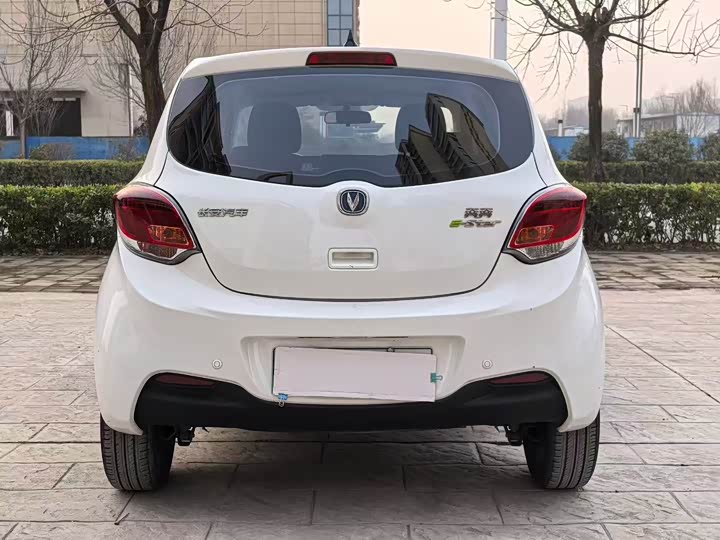 Фото 8 - Changan BenBen E-Star