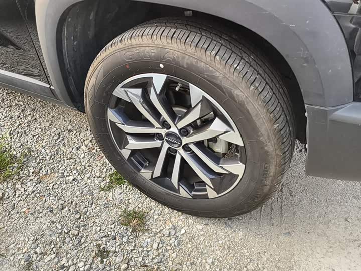 Фото 6 - Haval Dargo