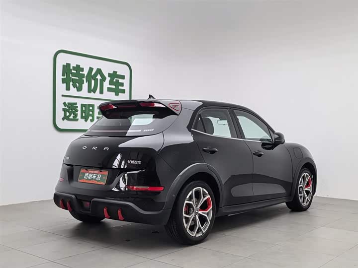 Фото 2 - Ora Good Cat GT (03 GT)