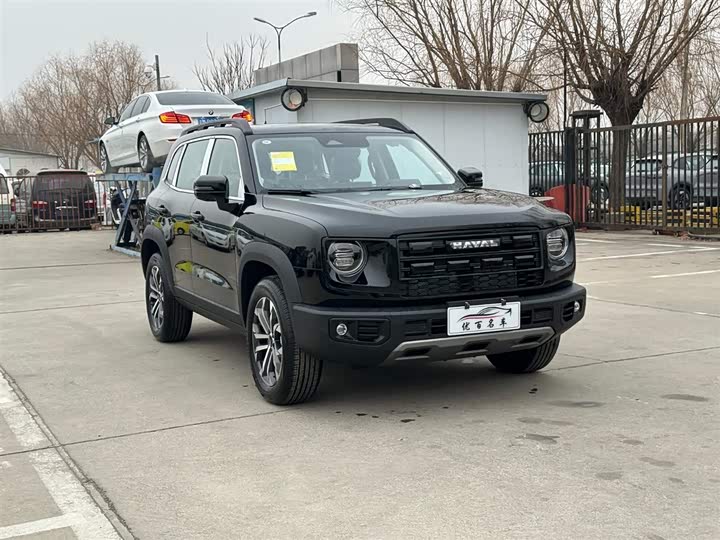 Фото 3 - Haval Dargo