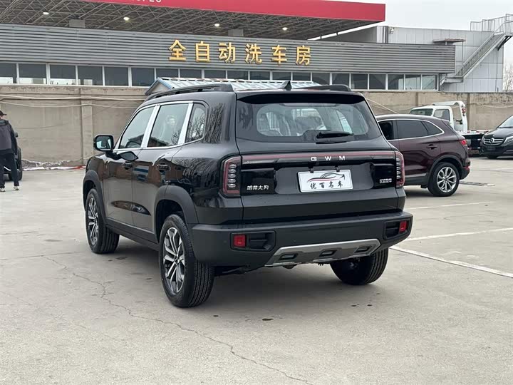 Фото 4 - Haval Dargo