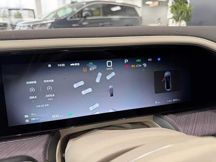 Фото 3 - Denza Z9