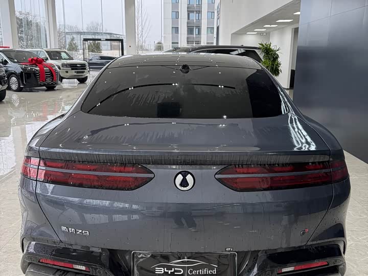 Фото 9 - Denza Z9