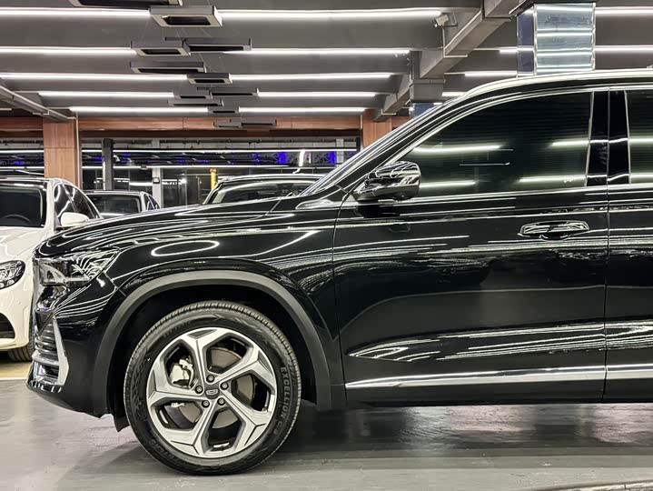 Фото 4 - Geely Monjaro