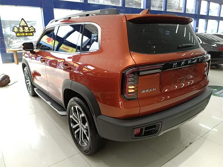 Фото 5 - Haval Dargo