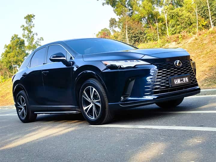 Фото 3 - Lexus RX