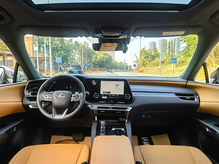 Фото 8 - Lexus RX