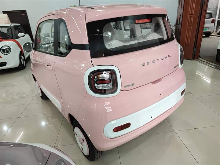 Фото 5 - Bestune Pony