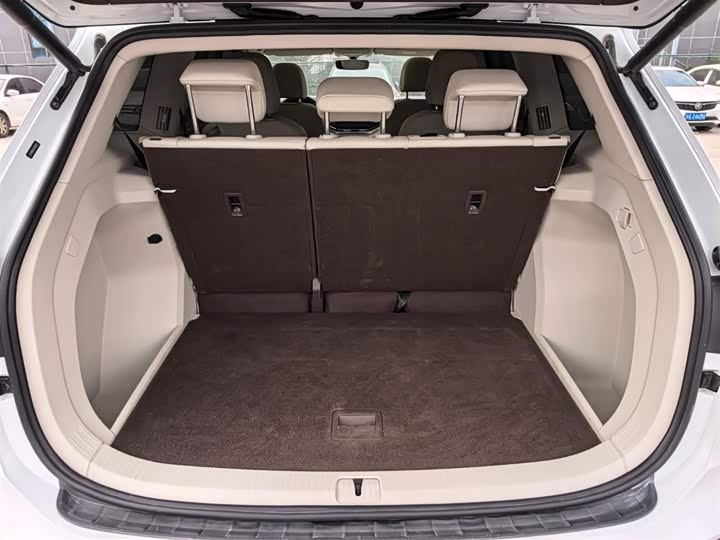 Фото 7 - Volkswagen Viloran