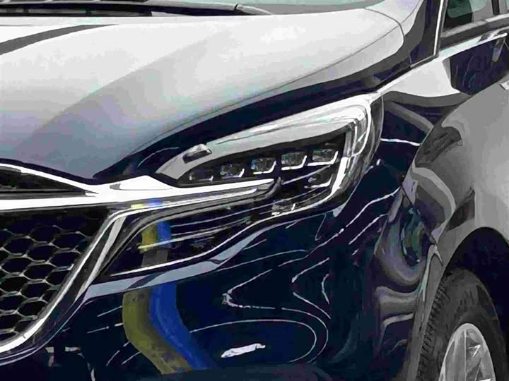 Фото 3 - Buick GL8 ES