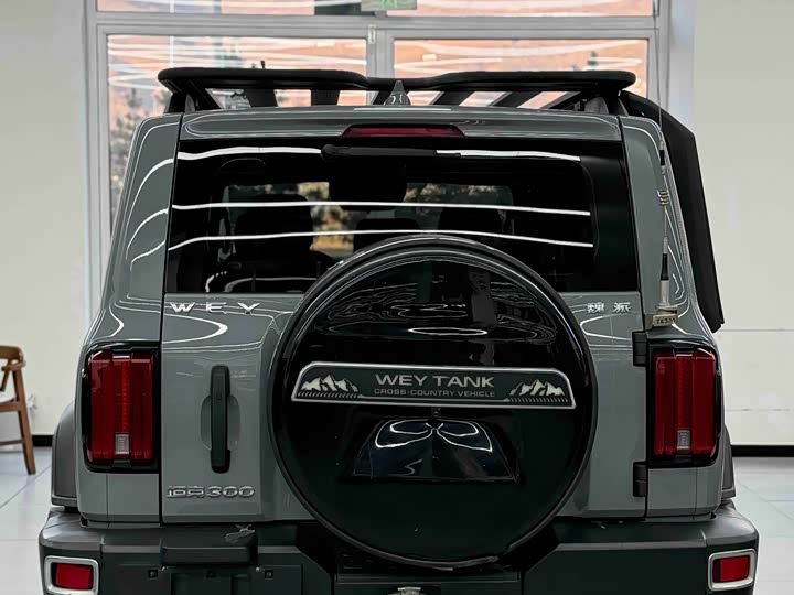 Фото 8 - Tank 300