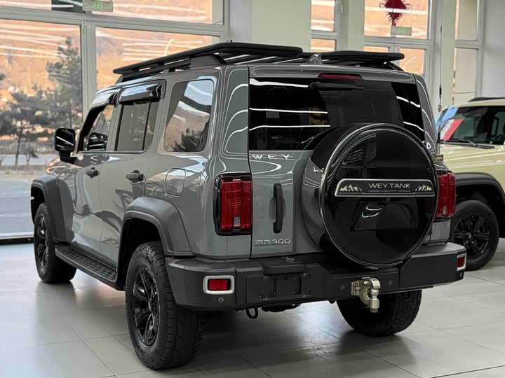 Фото 9 - Tank 300