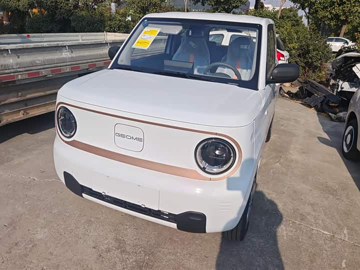 Фото 1 - Geely Galaxy Panda Mini