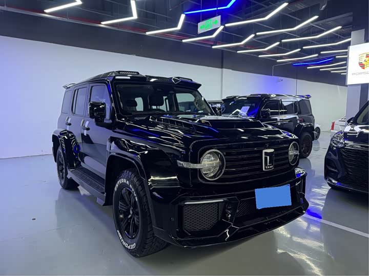 Фото 3 - Tank 300