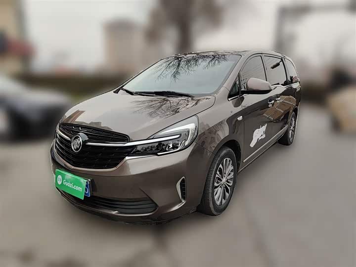 Фото 2 - Buick GL8 ES