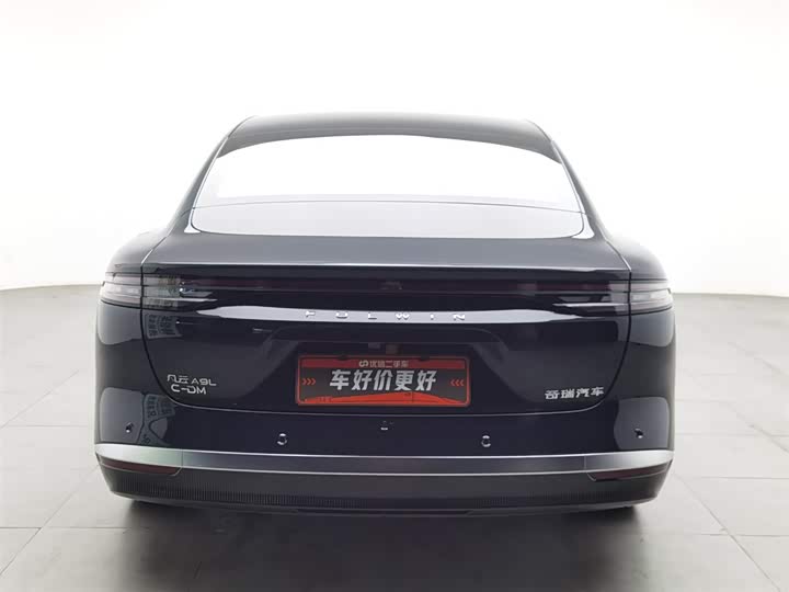 Фото 4 - Chery Fulwin A9L