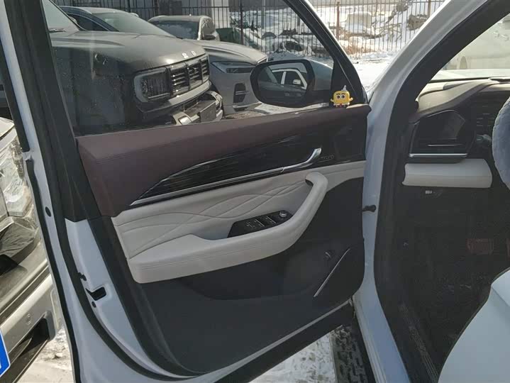 Фото 7 - Geely Monjaro