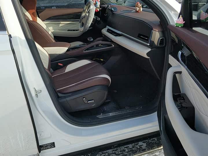 Фото 8 - Geely Monjaro