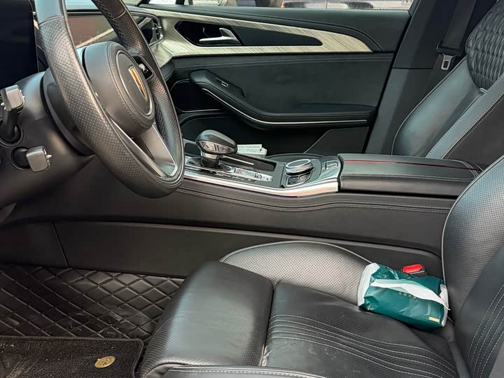 Фото 4 - Hongqi H9