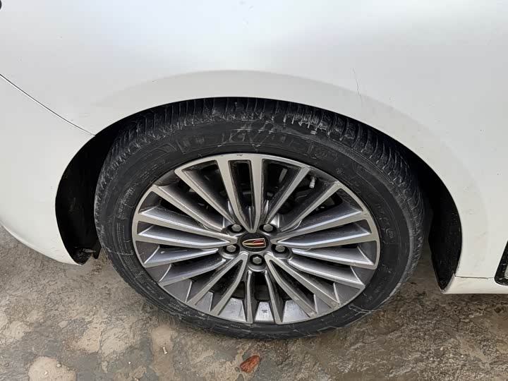 Фото 8 - Hongqi H9