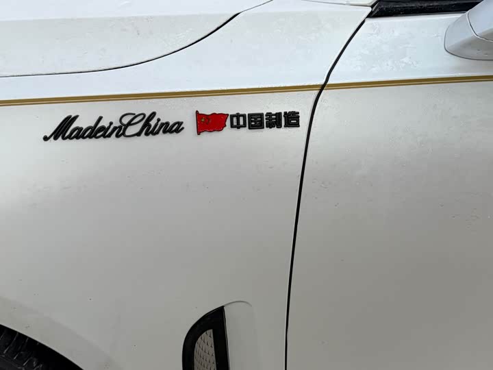 Фото 9 - Hongqi H9