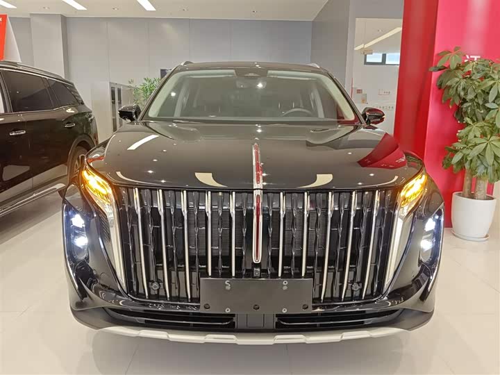 Фото 3 - Hongqi HS7 Hybrid