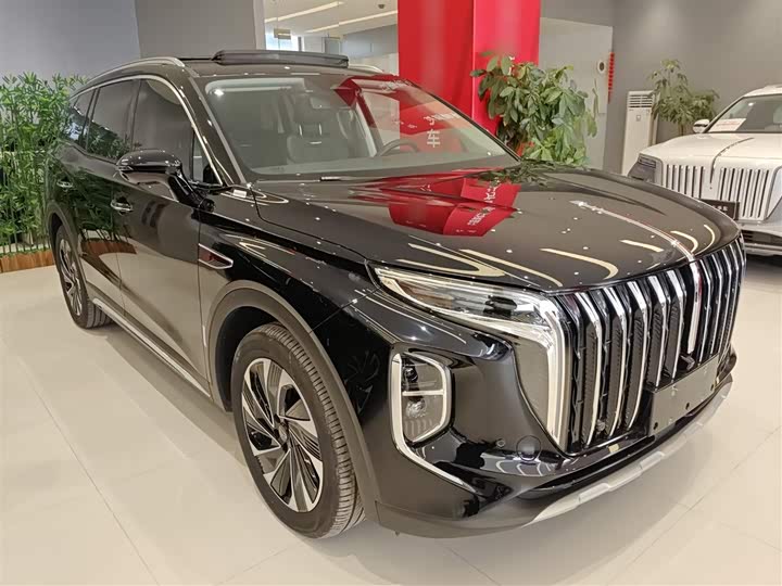 Фото 4 - Hongqi HS7 Hybrid