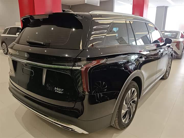 Фото 7 - Hongqi HS7 Hybrid