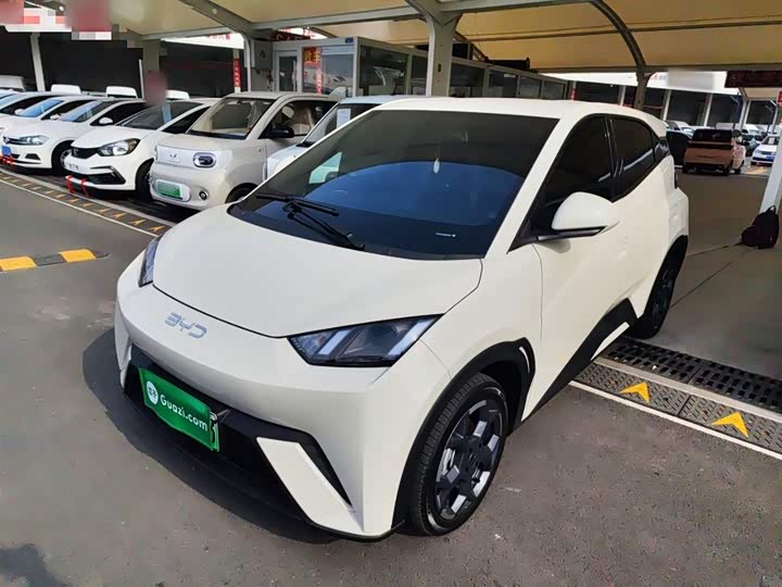 Фото 1 - BYD Seagull