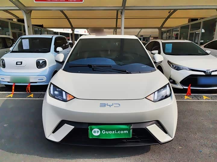 Фото 3 - BYD Seagull