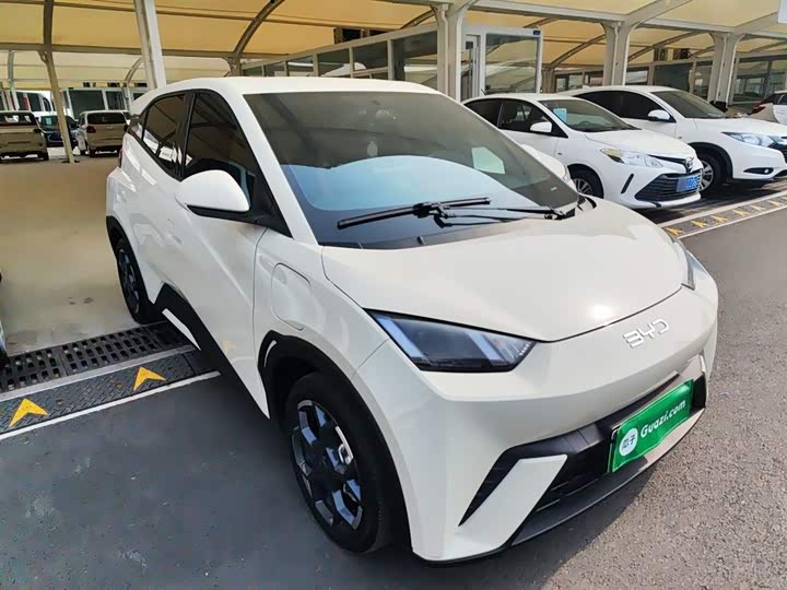 Фото 4 - BYD Seagull