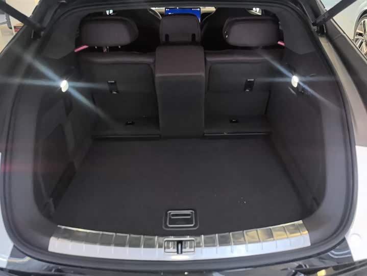 Фото 4 - Denza Z9GT