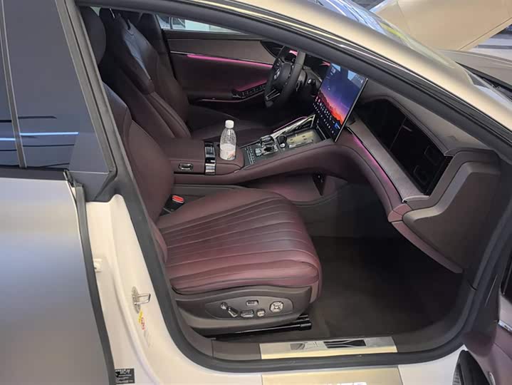 Фото 8 - Denza Z9GT