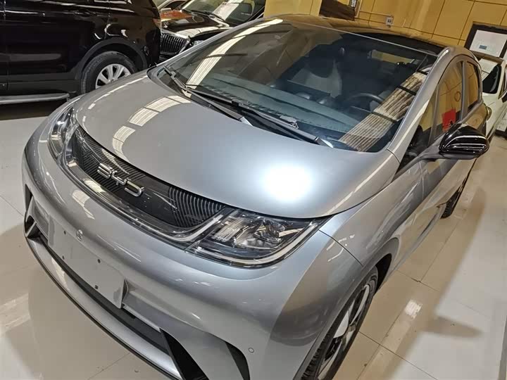 Фото 2 - BYD Dolphin