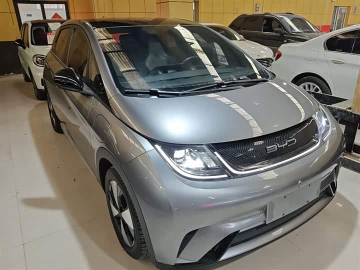 Фото 4 - BYD Dolphin