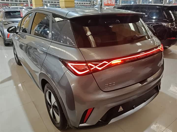 Фото 5 - BYD Dolphin