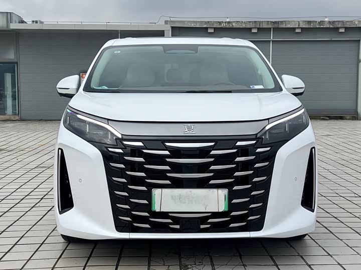 Фото 2 - BYD Xia