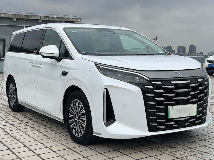 Фото 3 - BYD Xia