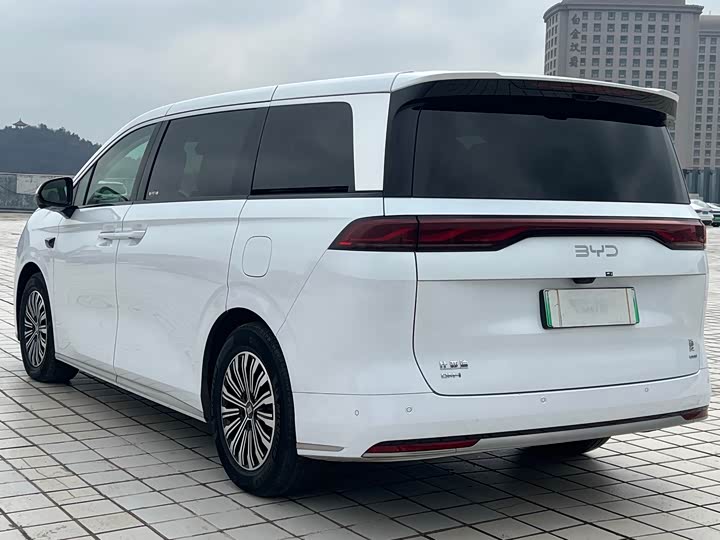 Фото 4 - BYD Xia