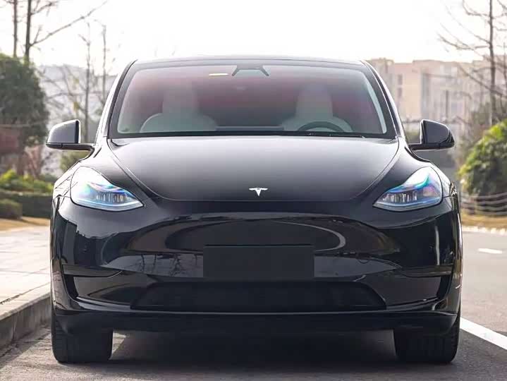 Фото 2 - Tesla Model Y