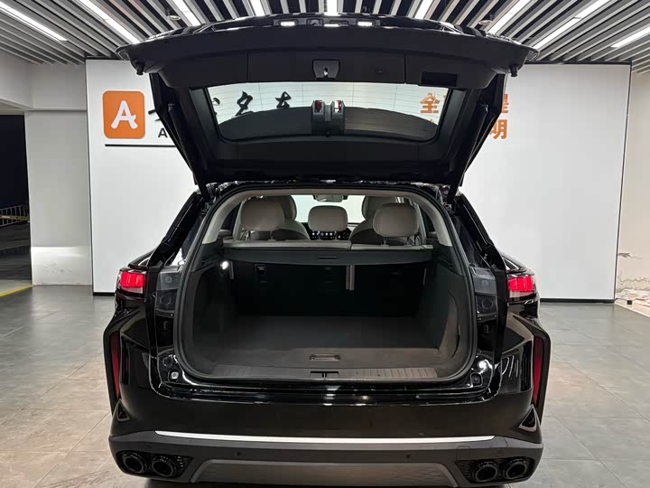 Фото 5 - Exeed RX C-DM Hybrid