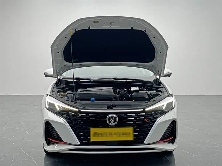 Фото 9 - Changan Eado Plus