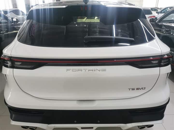 Фото 6 - Dongfeng Forthing T5 EVO