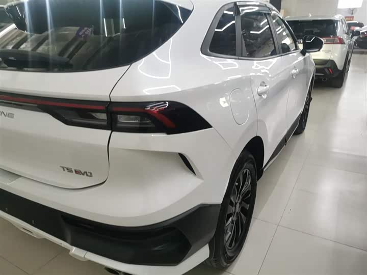 Фото 8 - Dongfeng Forthing T5 EVO