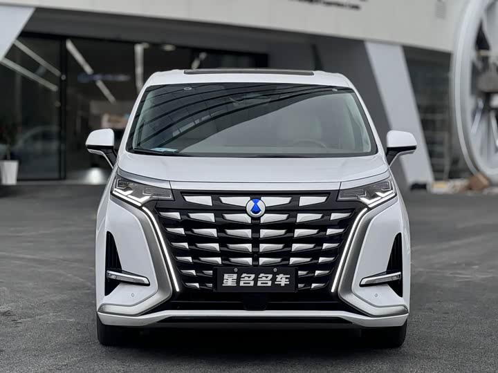 Фото 2 - Denza D9