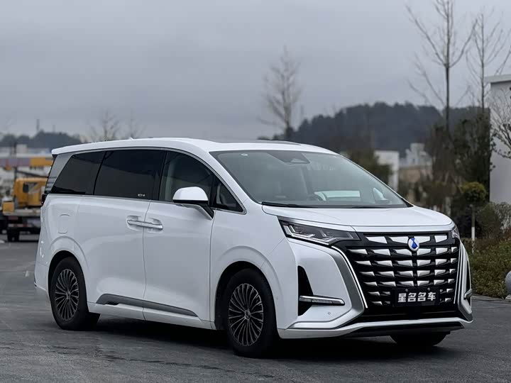 Фото 3 - Denza D9