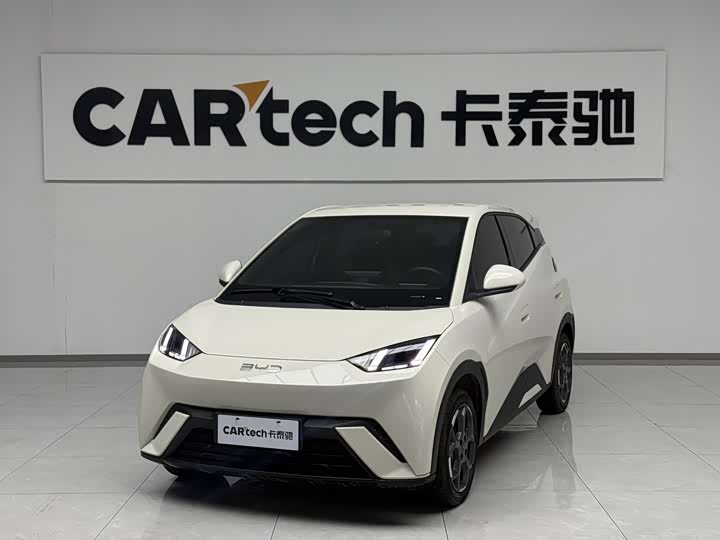 Фото 1 - BYD Seagull