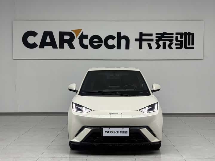 Фото 2 - BYD Seagull