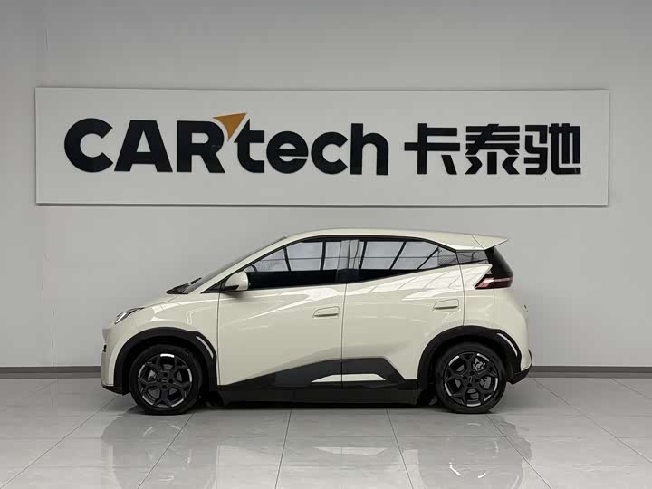 Фото 3 - BYD Seagull